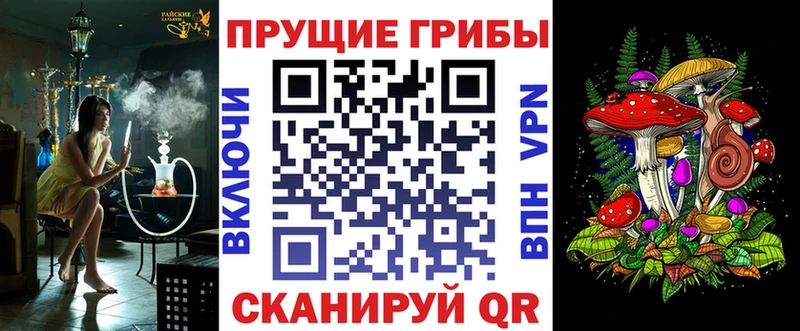 Купить  Находка  Псилоцибиновые грибы GOLDEN TEACHER 